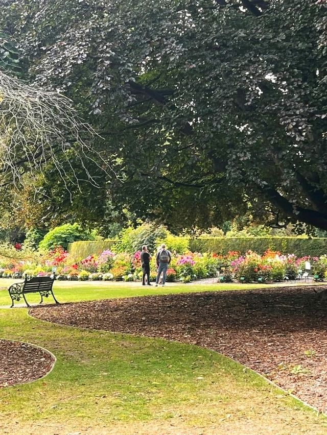 花園城市內的基督城植物園