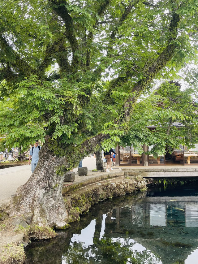 🌟 **富士山之旅：與日本聖山的完美邂逅** 🌟