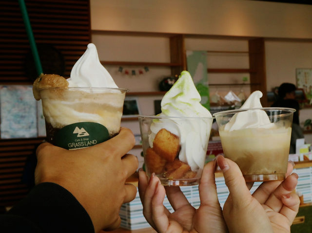 來阿蘇火山，首先要沖去買直升機的票