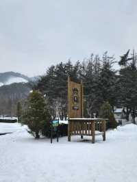 눈오는날 꼭 가야할 켄싱턴평창호텔