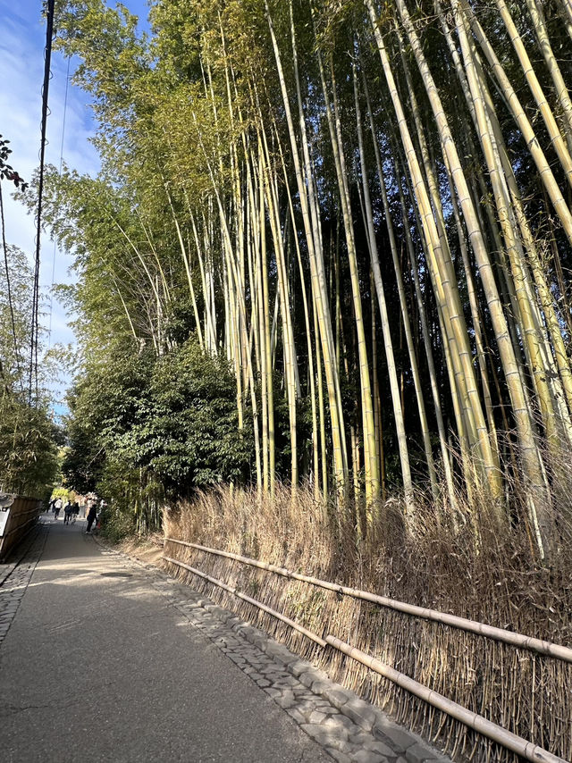 Kyoto: The Timeless Heart of Japan’s Culture and Tradition