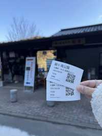 【熊本観光】滝の裏側を見られる！自然が作り出した美しい地形の滝✨️