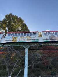 東山植物公園湖泊-多元化水上設施，悠閑享受自然美景