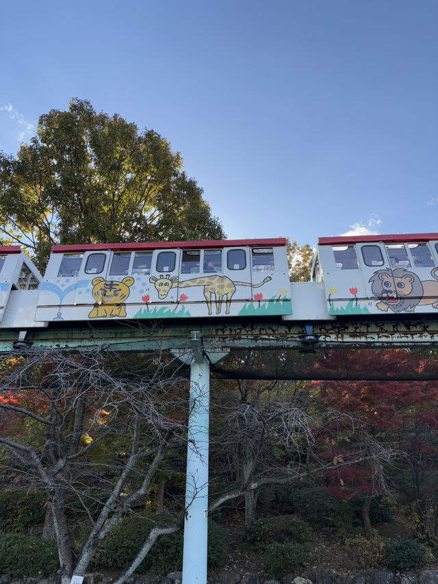 東山植物公園湖泊-多元化水上設施，悠閑享受自然美景