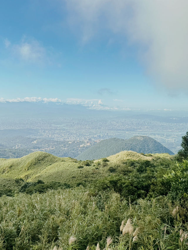 冷水坑步道⛰️芒草季✨