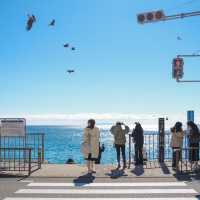 One day trip เที่ยว #คามาคุระ 🚃🌊🇯🇵