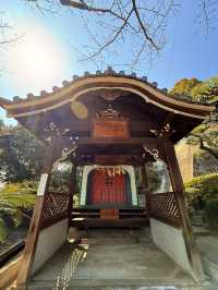 尾道｜纜車從頭頂經過的1200年古寺 中國三十三觀音第十番札所