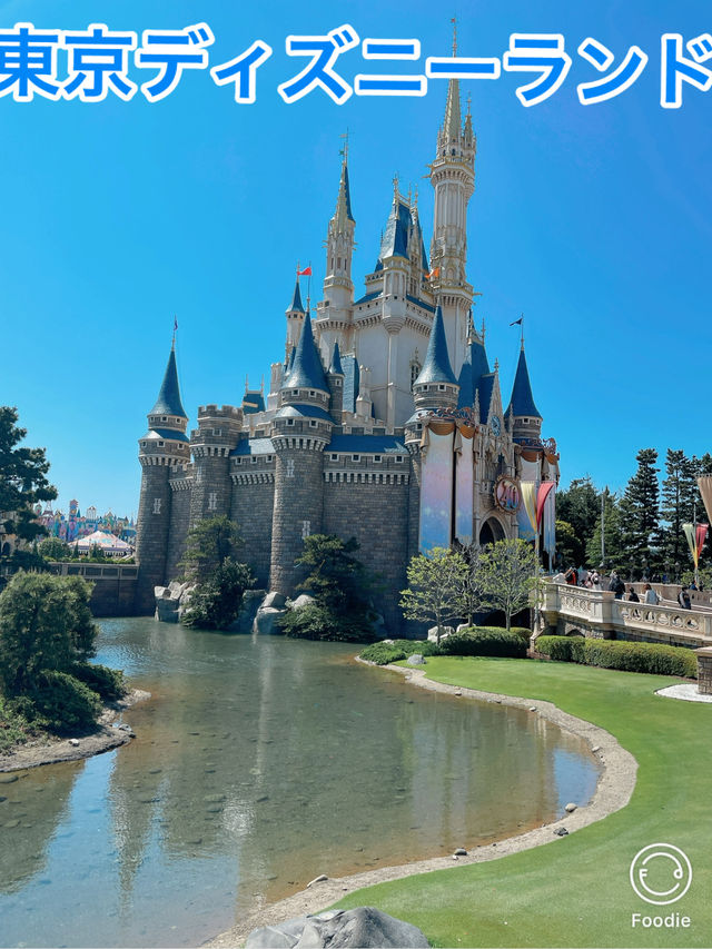 🏰夢と魔法の王国🏰