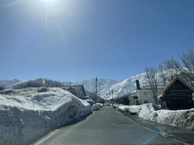 แนะนำโรงแรม Tokyu Rei Hotel Nagano ในนากาโนะ 