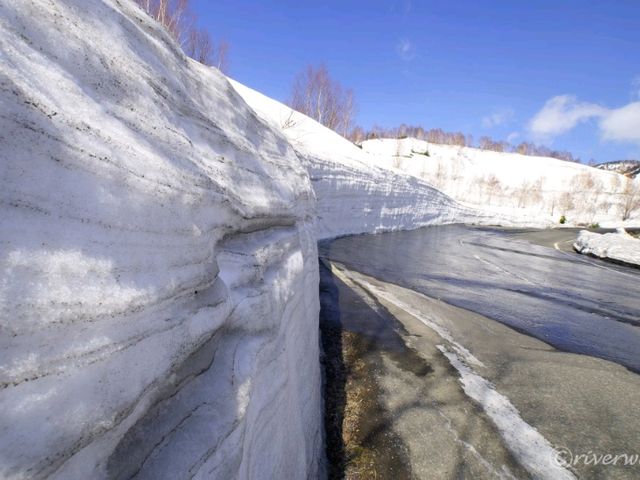 【岩手県】春の風物詩！八幡平アスピーテライン「雪の回廊」
