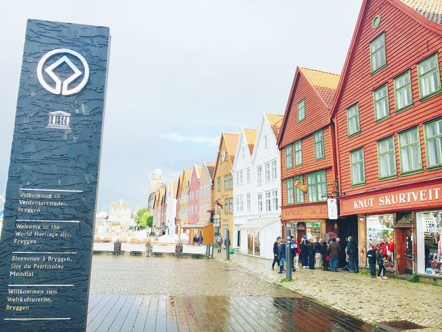 【ノルウェー】フィヨルドの玄関口、カラフルな港町ベルゲン🏡🌊