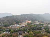 “Hangzhou 1 day trip”