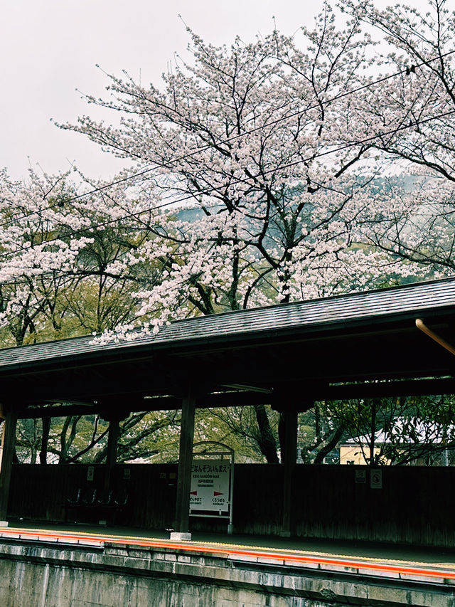 福岡遊