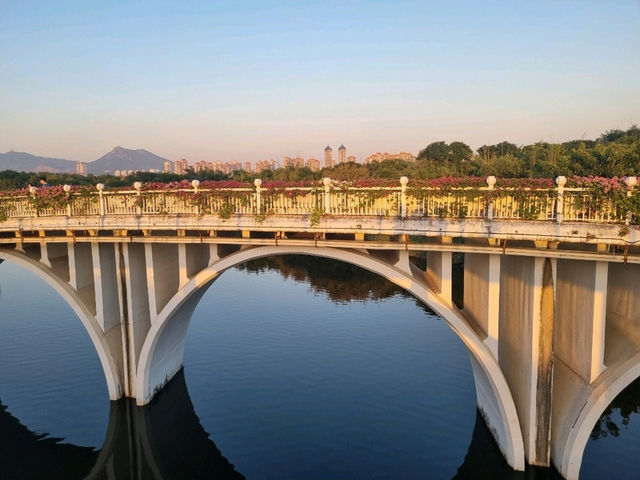 Xiamen in Autumn, lush and cool