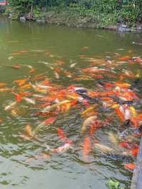 珠海圓明新園 | 瞬間帶你回到過去
