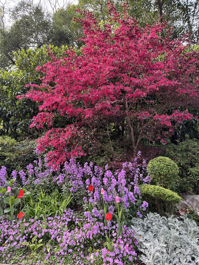 Spring in Shanghai is the BEST!