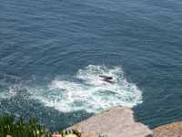 # 羅卡角（Cabo da Roca）葡萄牙幸特拉