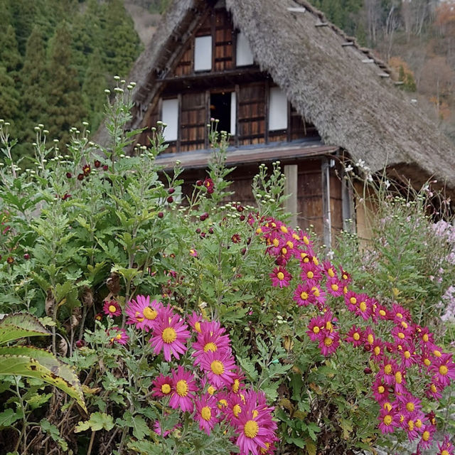 五箇山 (Gokayama, Toyama) – 静かな秘境に佇む合掌造りの里