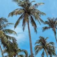 🏝️เกาะง่าม จ.ตราด อุทยานแห่งชาติเกาะช้าง