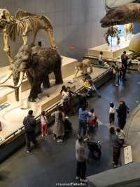 Shanghai Natural History Museum สุดอลังการว้าวสุดๆ