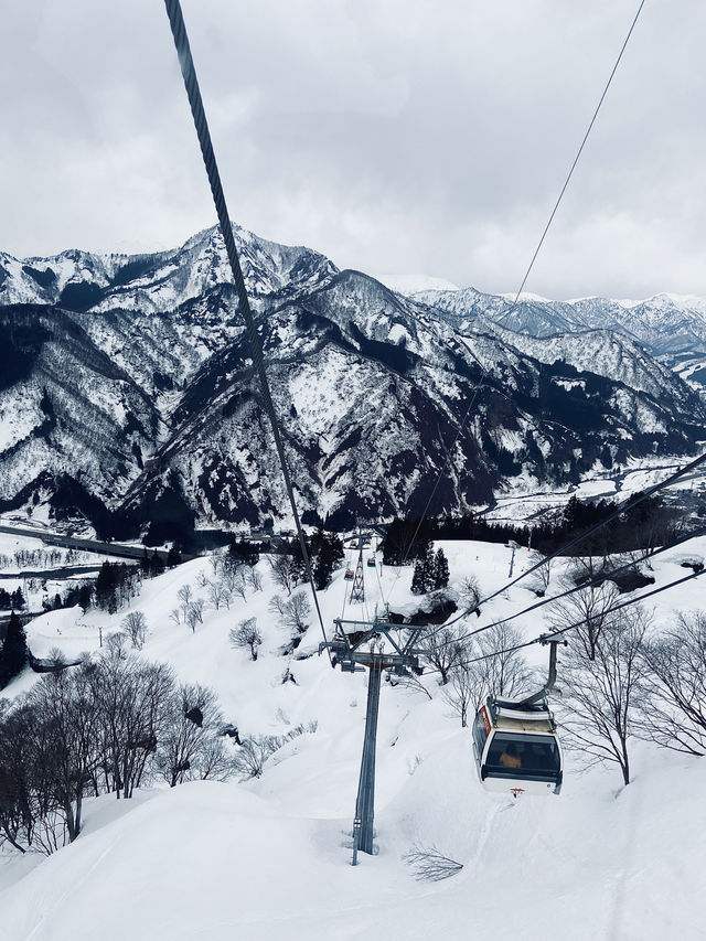 GALA YUZAWA 