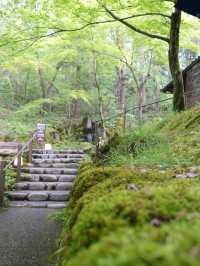 【石川×ゆのくにの森】茅葺き屋根の古民家や自然豊かな背景も楽しめます。