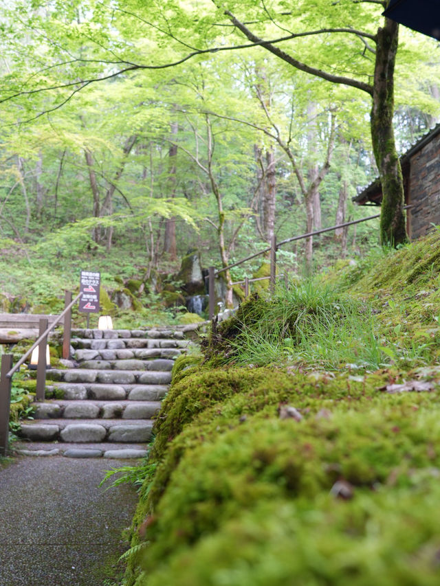 【石川×ゆのくにの森】茅葺き屋根の古民家や自然豊かな背景も楽しめます。