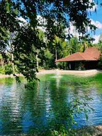 ✨💙Greenery at The Farm at San Benito✨💙