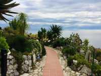 Spring Serenity at Jardin Botanique de Nice