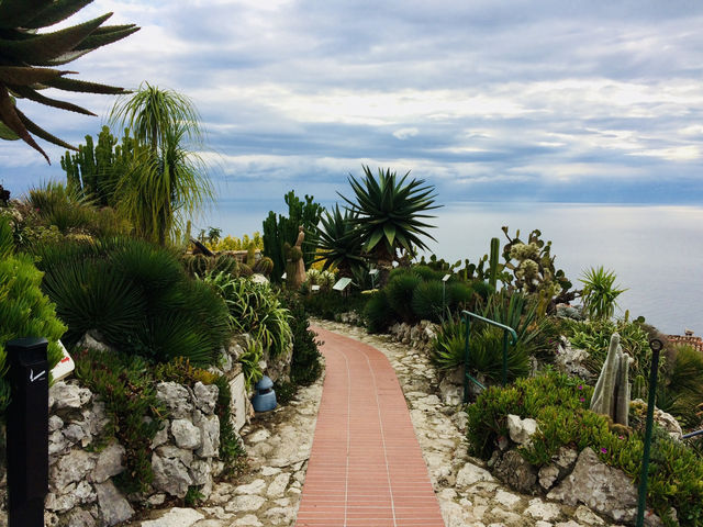 Spring Serenity at Jardin Botanique de Nice
