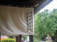 福を呼び込む春のひととき！豪徳寺スナップ🐾🌸
