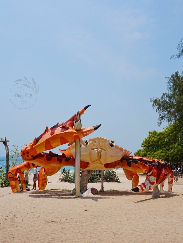 ⛱  ดำน้ำดูปลา เกาะแสมสาร