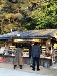 ⛩️고요함부터 힙함까지, 경주 하루 코스 추천