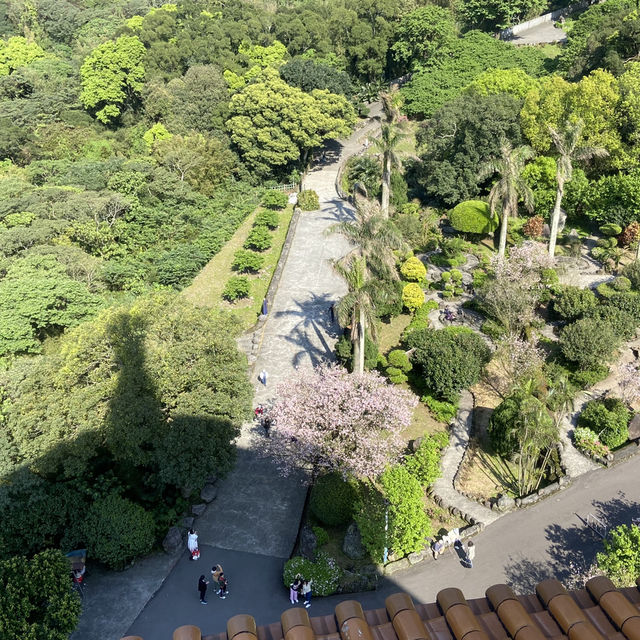 淡水一日遊：從天元宮到老街夕陽的輕旅行