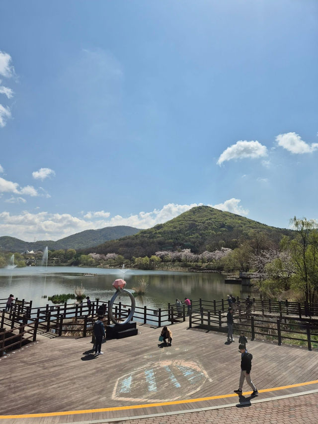 “Incheon in Bloom: Cherry Blossom Dreams at Grand Park”
