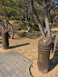 🌲🍂강원도 강릉 여행지 명소 강릉 오죽헌 