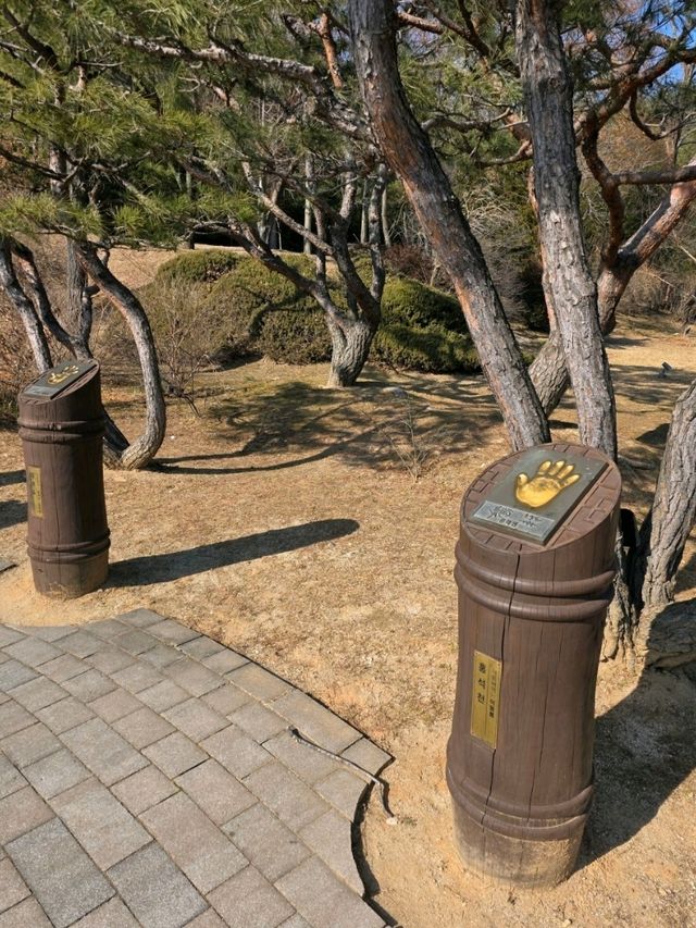 🌲🍂강원도 강릉 여행지 명소 강릉 오죽헌 