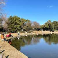 日本大仙公園💕避開人流好去處