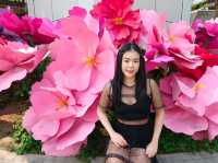 Netherlands Flower town / Dutch Flower town