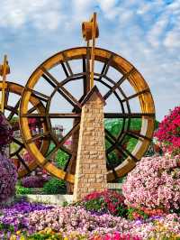 Dubai Miracle Garden