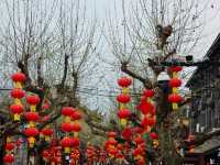 Chengdu Day Trip – Panda Valley, Qingcheng Mountain & Dujiangyan with Ancient Town Vibes!