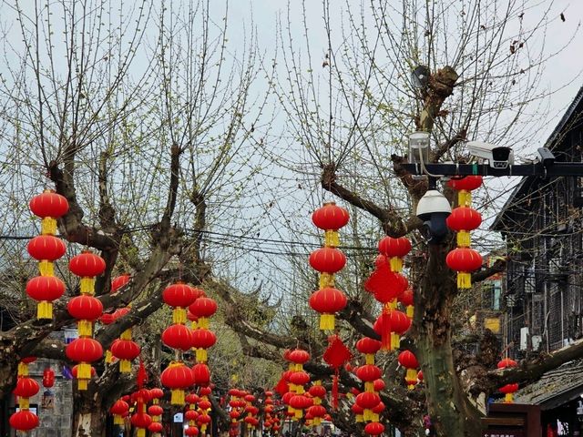 Chengdu Day Trip – Panda Valley, Qingcheng Mountain & Dujiangyan with Ancient Town Vibes!