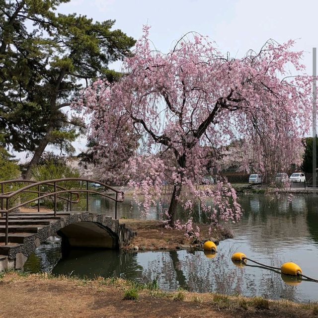 Shikishima Park, Gunma