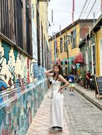 智利Valparaiso 一日遊