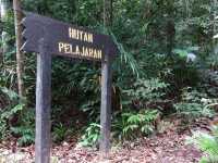 Hutan Lipur Gunung Pulai: Where Waterfalls Crash & Monkeys Steal Your Snacks🌿💦