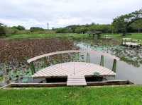 #臺東森林公園-臺東縣臺東市