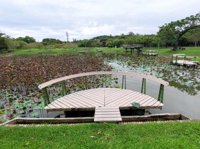 #臺東森林公園-臺東縣臺東市