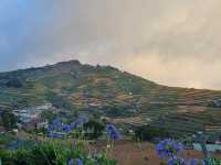Rise to New Heights at Mount Olis: Soaring 7,900 Feet Above Sea Level!