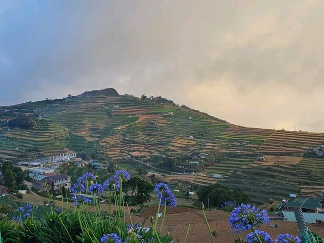 Rise to New Heights at Mount Olis: Soaring 7,900 Feet Above Sea Level!
