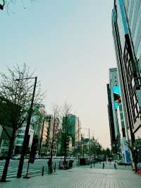 Spring in Seoul